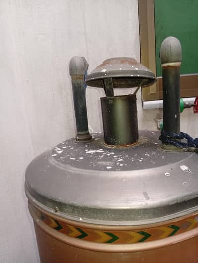 Full Size Geyser For Sale