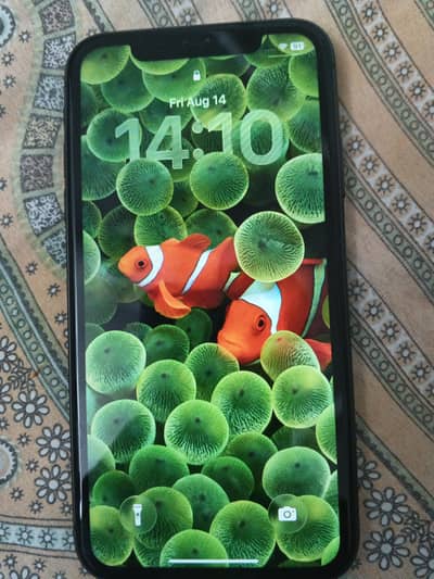 Apple iPhone 11