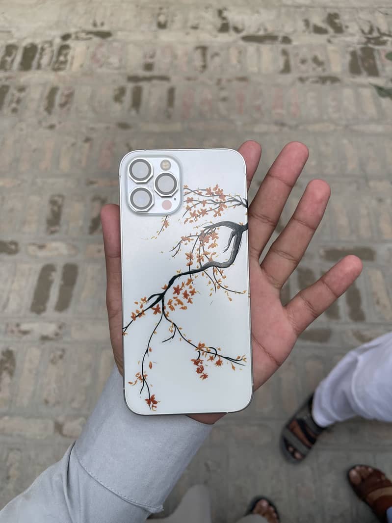 Apple iPhone 12 Pro Max 0