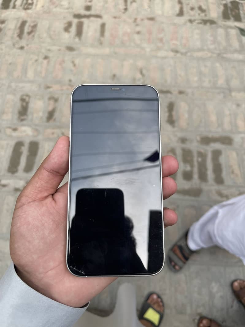 Apple iPhone 12 Pro Max 1