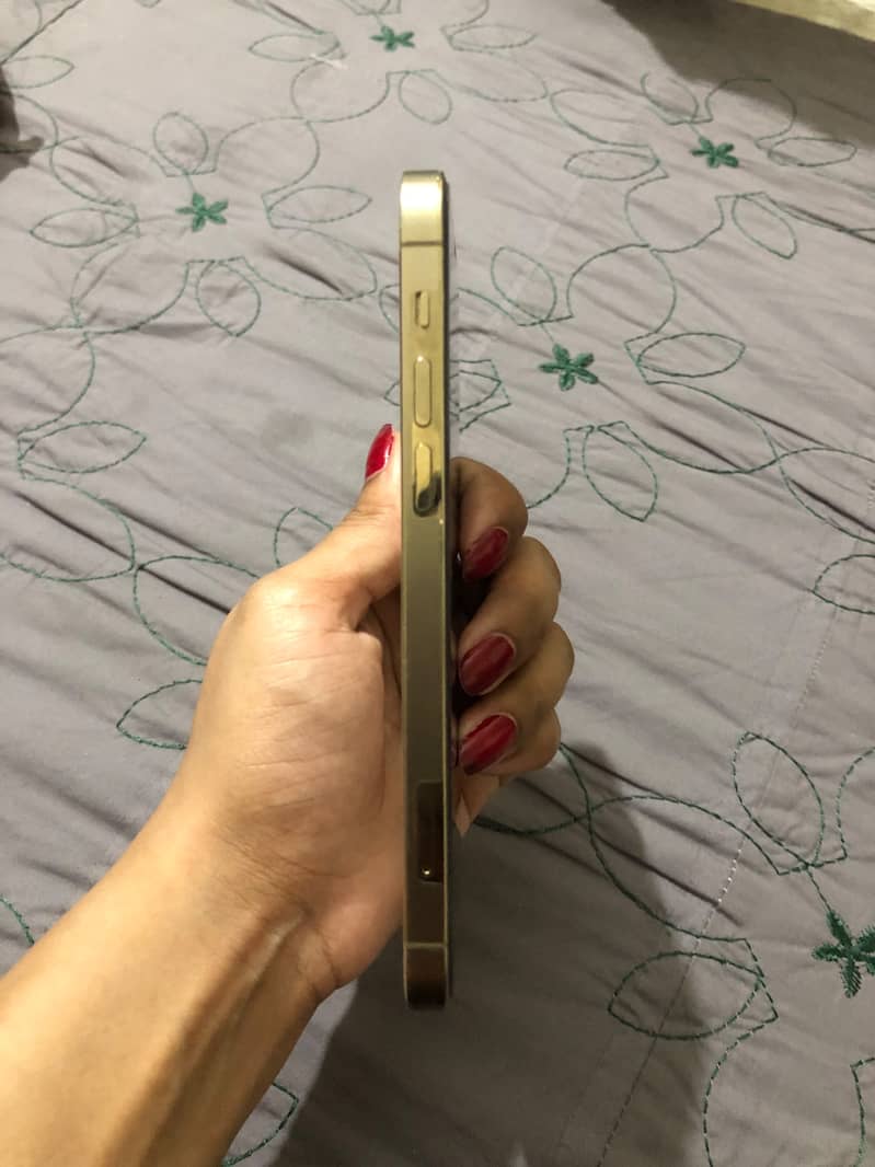 Apple iPhone 12 Pro 1