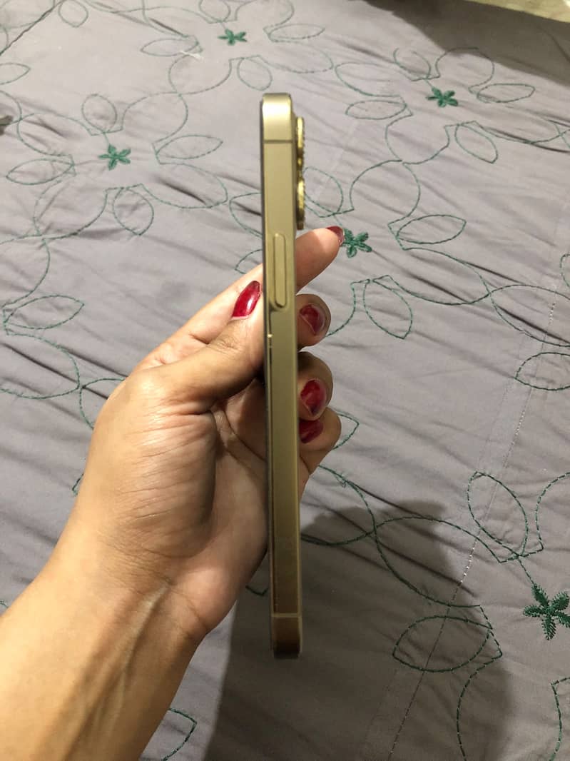 Apple iPhone 12 Pro 2