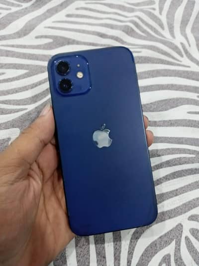 Apple iPhone 12