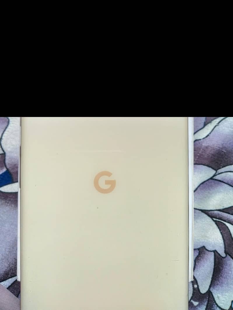 Google Pixel 6 Pro 4