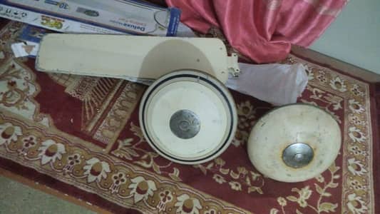 Celling Fans For Sale