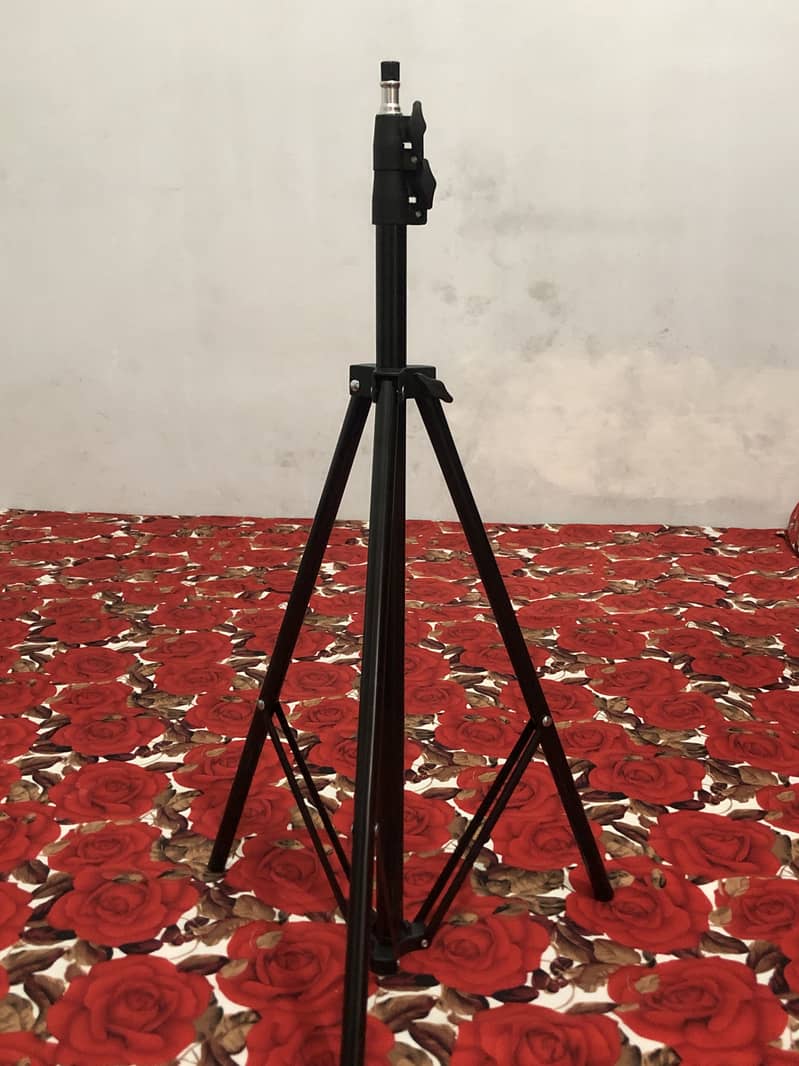 Mobile stand 1