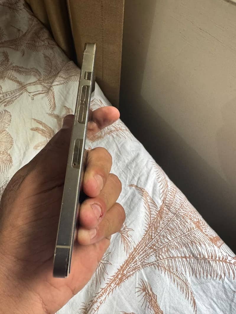 Apple iPhone 13 Pro 0