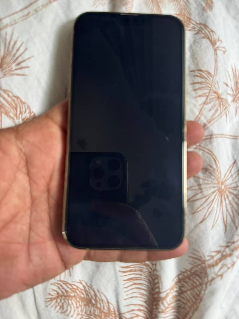 Apple iPhone 13 Pro 4
