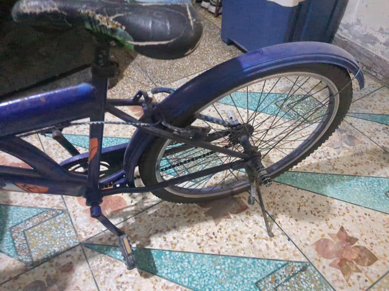 bycycle 1