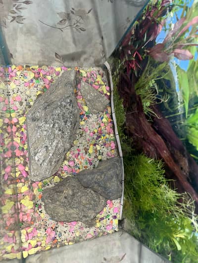 Aquarium For Sale…