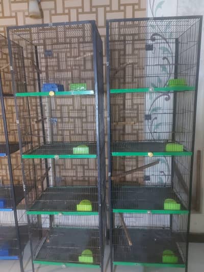 cage for parrots