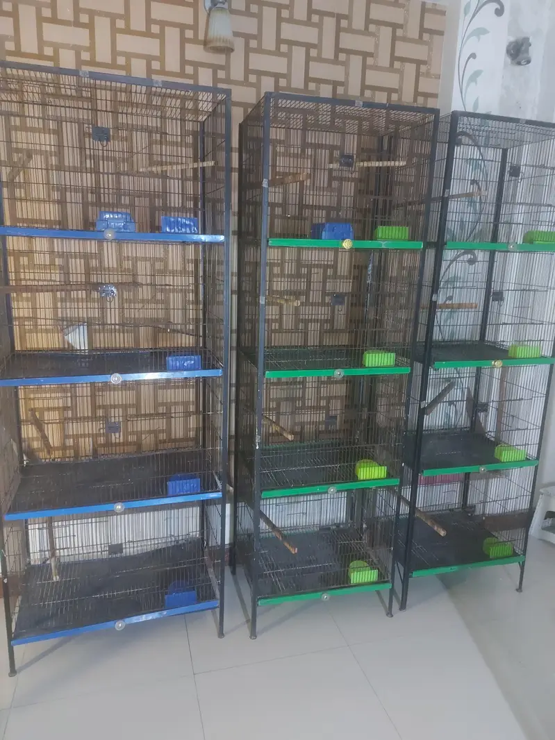 cage for parrots — photo 3