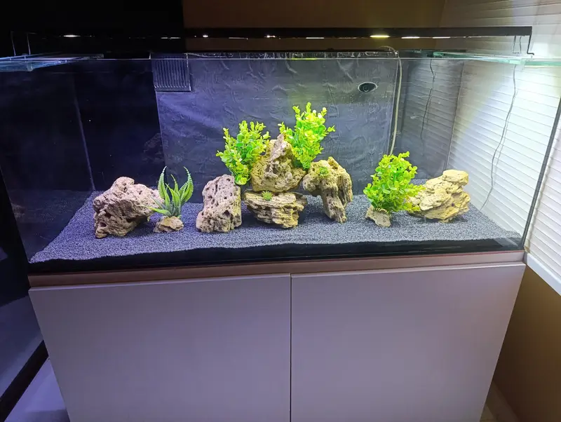 Fish Aquarium