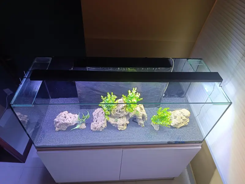 Fish Aquarium — photo 2