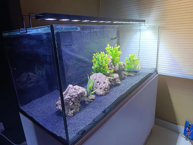 Fish Aquarium — photo 3
