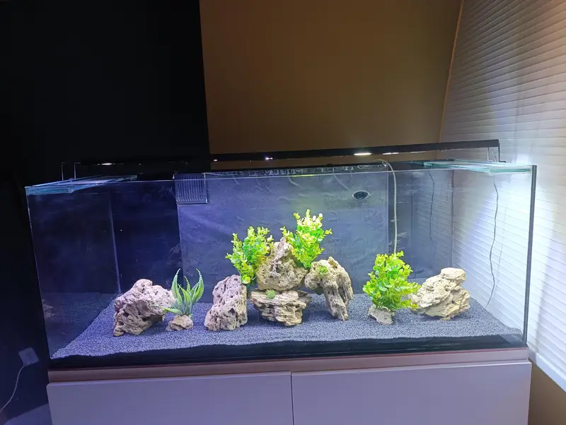Fish Aquarium — photo 4