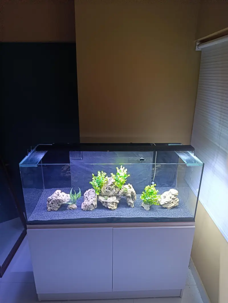 Fish Aquarium — photo 5