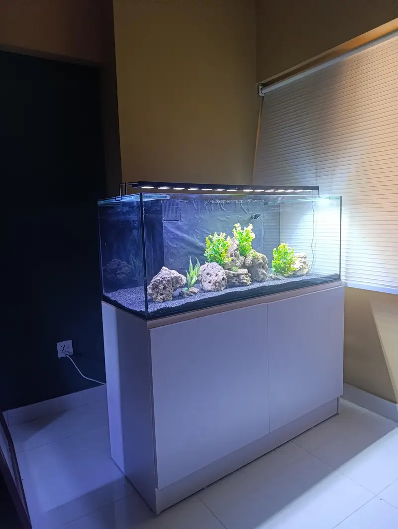 Fish Aquarium — photo 6