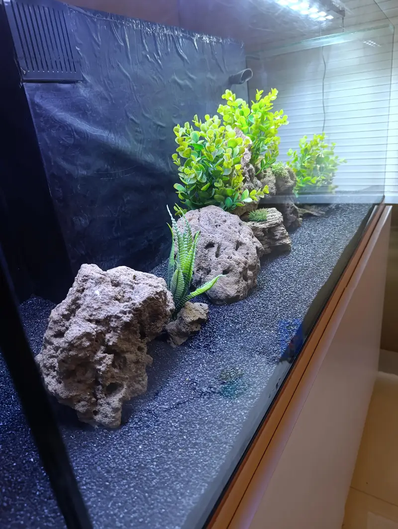 Fish Aquarium — photo 7
