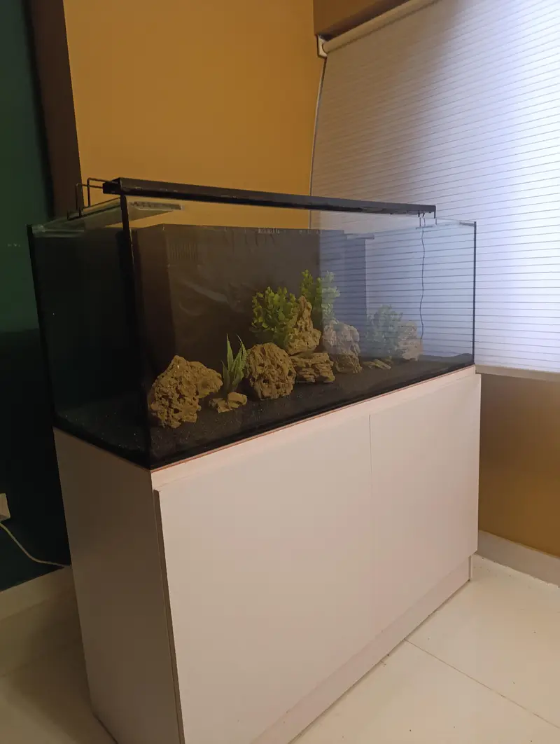 Fish Aquarium — photo 9