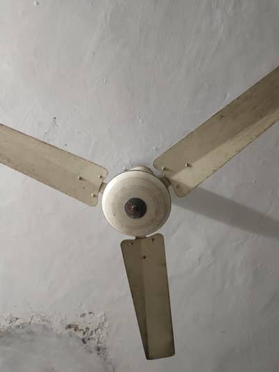 2xFan For Sale