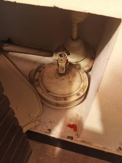 ceiling fan hai 10000 ke do de raha hun kopar khaira