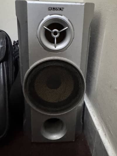Sony SS-RSV8 speakers