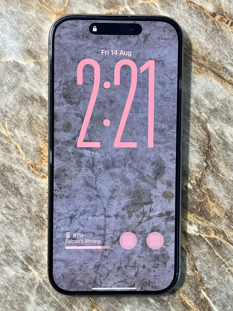 Apple iPhone 16 Pro 2