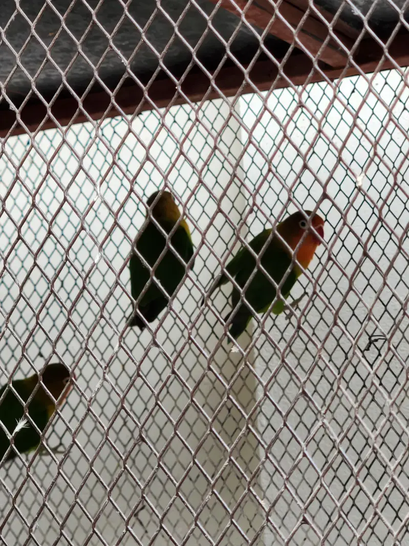 Fishers for sale — photo 3