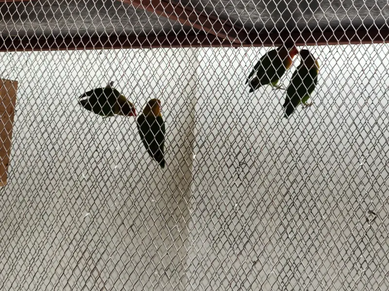 Fishers for sale — photo 4