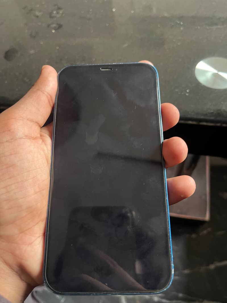 Apple iPhone 12 1
