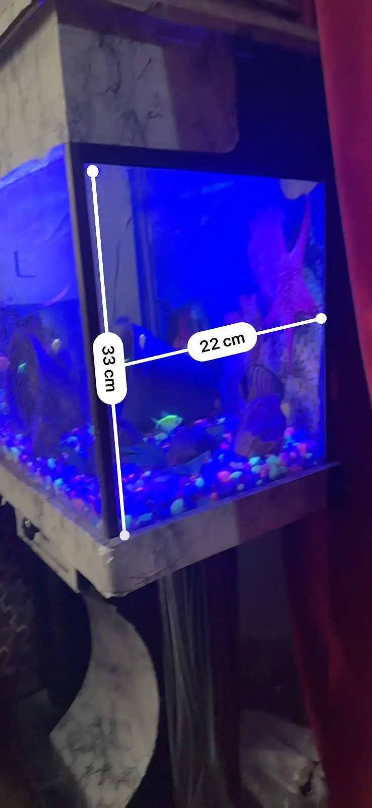 Complete Premium Aquarium Set with Fish & LED Setup — photo 2