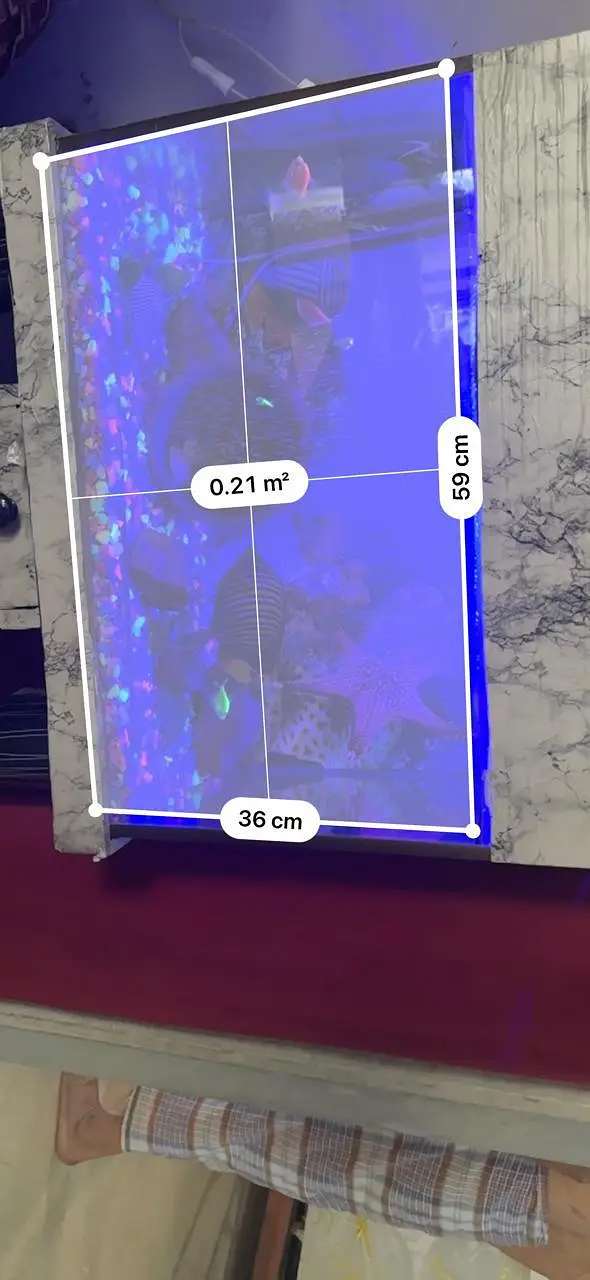 Complete Premium Aquarium Set with Fish & LED Setup — photo 3