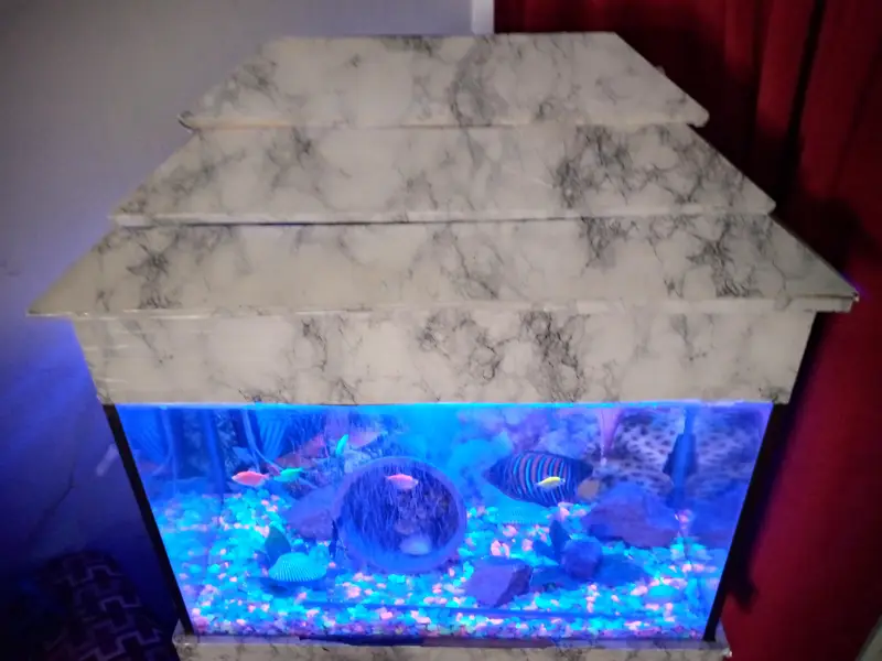 Complete Premium Aquarium Set with Fish & LED Setup — photo 6