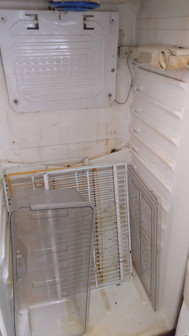 Fridge 3