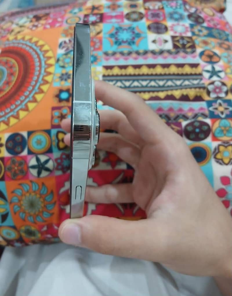 Apple iPhone 13 Pro Max 1