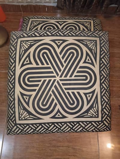 pack of 2 cushions