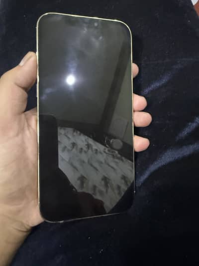 Apple iPhone 12 Pro Max