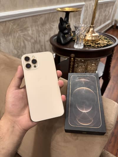 Apple iPhone 12 Pro Max