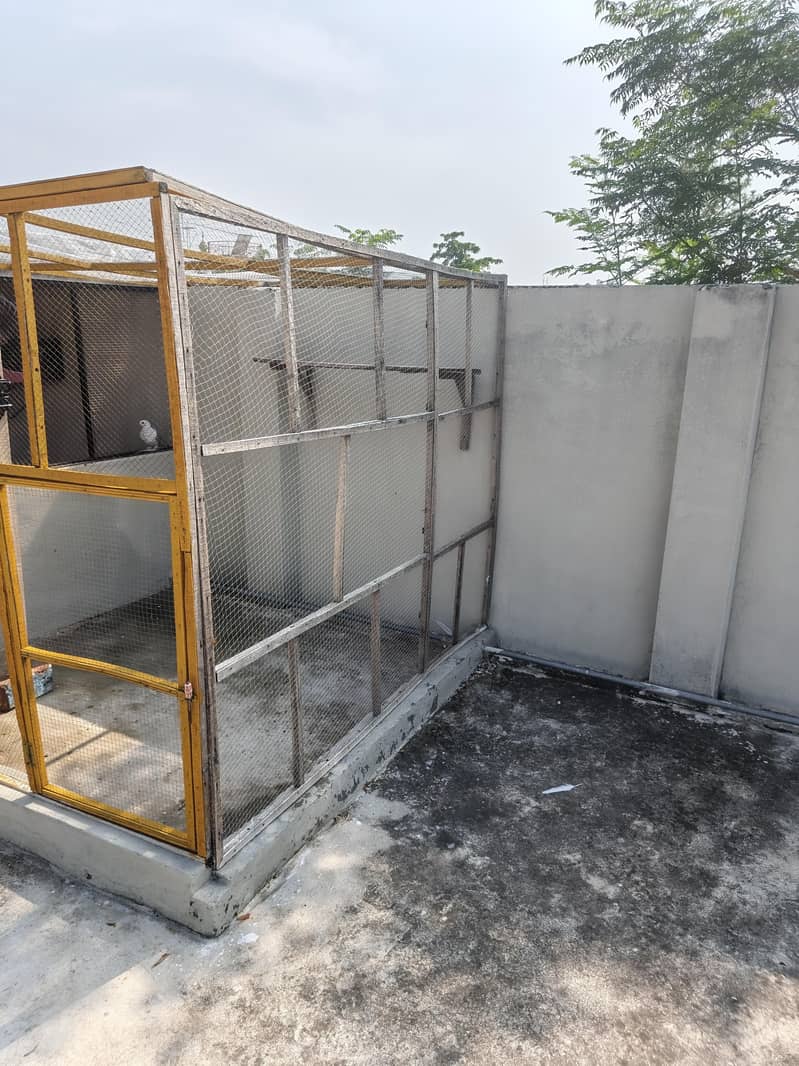 Cages 3