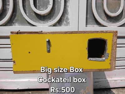 Parrots Breeding Boxes