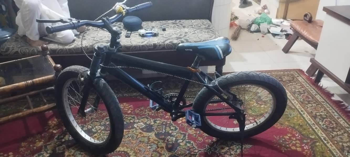 Morgan Bicycle 2