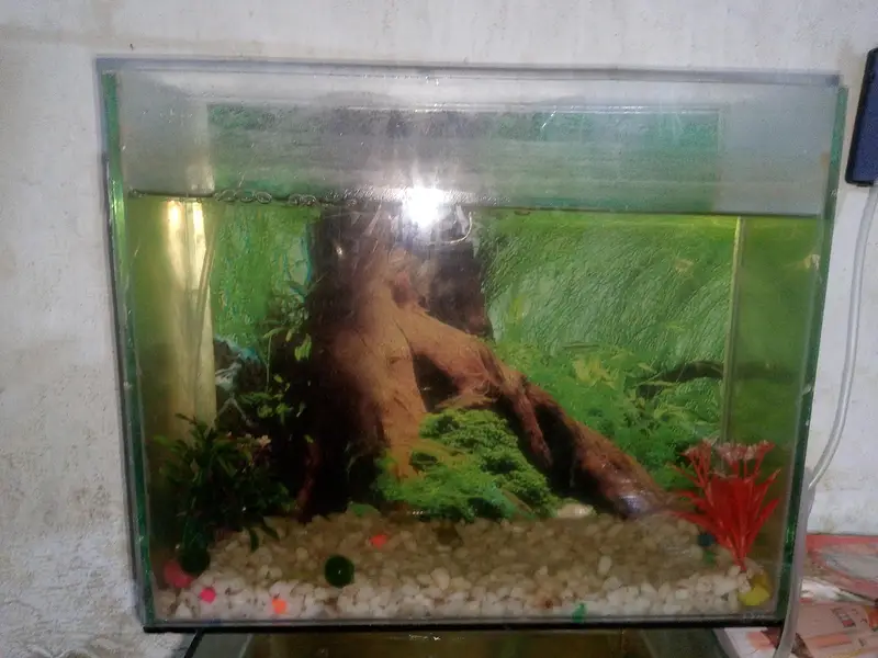 aquarium — photo 2