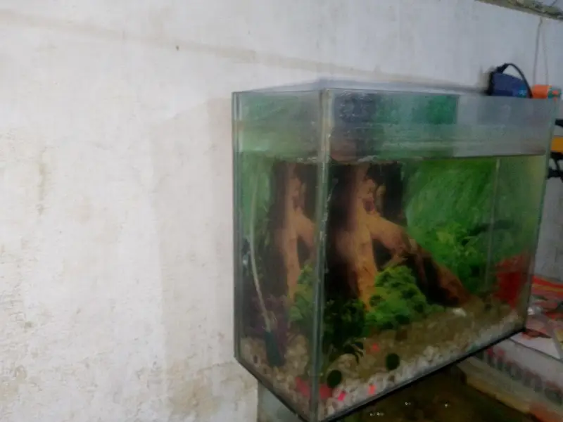 aquarium — photo 3