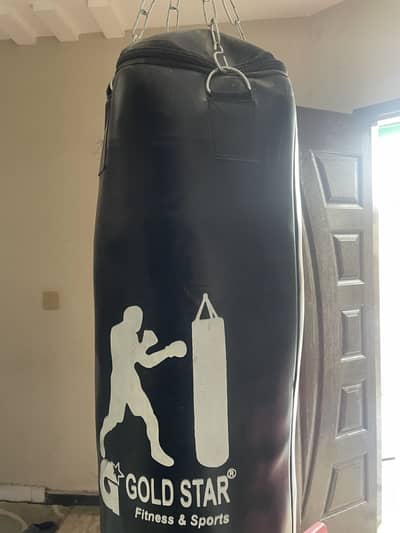 Boxing gloves and punching bag for sale