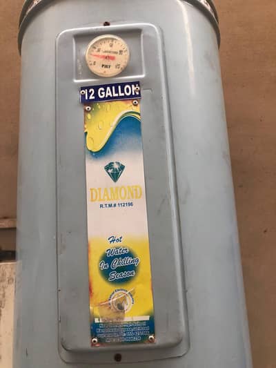 12 Gallon Electric Water Geyser