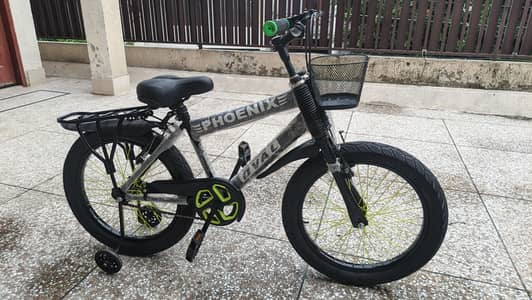 Phoenix Bicycle 20"