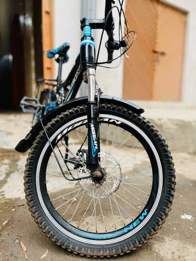 Original Morgan cycle