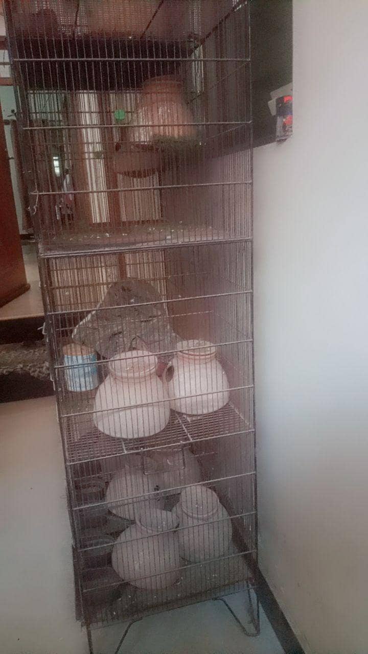 12 portion Cage 1