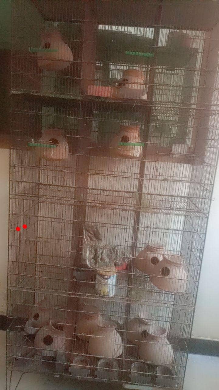 12 portion Cage 2